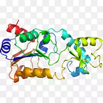 树线剪贴画-树-空若网 树线剪贴画-树-空若网