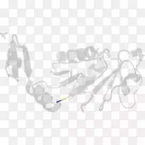 白线设计-空若网 白线设计-空若网