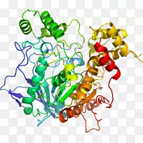 人体首饰有机体线剪贴画线-空若网 人体首饰有机体线剪贴画线-空若网
