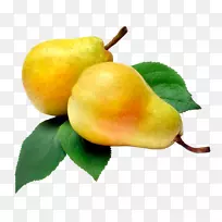 雷克亚·威廉斯梨月季水果蔬菜-空若网 雷克亚·威廉斯梨月季水果蔬菜-空若网