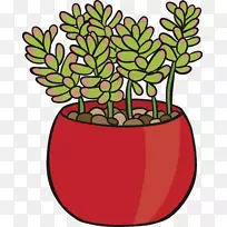 ������ֲ��-������