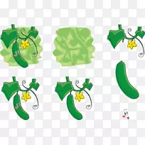 黄瓜海绵葫芦蔬菜奥格里斯黄瓜花表达载体-空若网 黄瓜海绵葫芦蔬菜奥格里斯黄瓜花表达载体-空若网