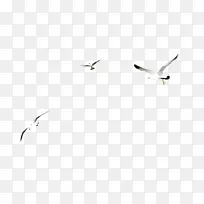 ��ɫƷ�������-������