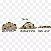 ���ͼ����ɻ�ѧ�決��ѧ-������