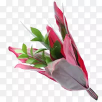 哥伦比亚切花叶花束-空若网 哥伦比亚切花叶花束-空若网