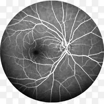 白色图案-空若网 白色图案-空若网