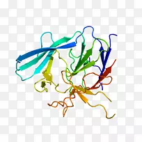 线点生物剪贴画线-空若网 线点生物剪贴画线-空若网