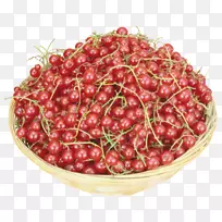 蔓越莓果食樱桃-空若网 蔓越莓果食樱桃-空若网
