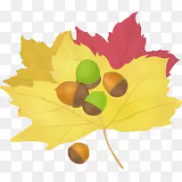 枫叶卡通-秋季生活偶像-空若网 枫叶卡通-秋季生活偶像-空若网