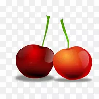 樱桃剪贴画-野樱桃-空若网 樱桃剪贴画-野樱桃-空若网