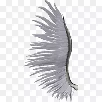 翼白剪贴画-白天让翅膀-空若网 翼白剪贴画-白天让翅膀-空若网