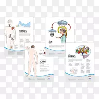 腰背痛我为什么会受伤?:一本关于疼痛神经科学的病人书,下腰痛管理,复杂的局部疼痛综合症-。-空若网 腰背痛我为什么会受伤?:一本关于疼痛神经科学的病人书,下腰痛管理,复杂的局部疼痛综合症-。-空若网