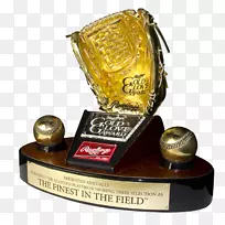 ����˹�����׽����򽱱�-������