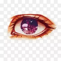 水彩画紫眼-空若网 水彩画紫眼-空若网