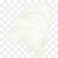 毛皮织物图案-美丽的装饰翅膀-空若网 毛皮织物图案-美丽的装饰翅膀-空若网