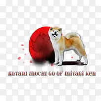 犬种石坝犬秋田鼻子-秋田犬-空若网 犬种石坝犬秋田鼻子-秋田犬-空若网