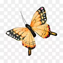 图标-蝴蝶翅膀-空若网 图标-蝴蝶翅膀-空若网