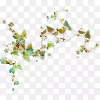 花卉花园玫瑰剪贴画-空若网 花卉花园玫瑰剪贴画-空若网