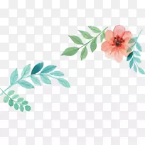 Ë®²Ê»Ö鱦ˮ²Ê»»¨-¿ÕÈôÍø Ë®²Ê»Ö鱦ˮ²Ê»»¨-¿ÕÈôÍø