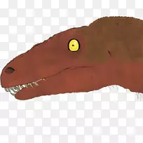 ���ж���������Ӻ���-����-������