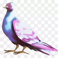 喙羽月饼节-空若网 喙羽月饼节-空若网