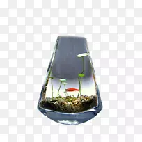 Ë®ÅàÓ²±Ò²Ý-¿ÕÈôÍø Ë®ÅàÓ²±Ò²Ý-¿ÕÈôÍø