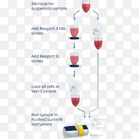 ��״����ϸ������-������