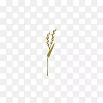 黄色图案-植物图片-空若网 黄色图案-植物图片-空若网