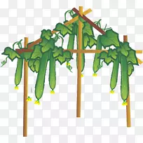 黄瓜欧式-黄瓜png元-空若网 黄瓜欧式-黄瓜png元-空若网