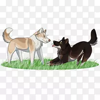 狗繁殖动画-为什么我们不-空若网 狗繁殖动画-为什么我们不-空若网