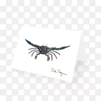 昆虫蝴蝶2M翅膀蝴蝶和飞蛾-蟹爪-空若网 昆虫蝴蝶2M翅膀蝴蝶和飞蛾-蟹爪-空若网