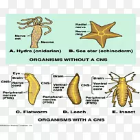 ������ϵͳ�޼�׵����-��ϸ������Ľ���-������