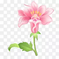 花卉设计花园剪花剪贴画-溜溜球-空若网 花卉设计花园剪花剪贴画-溜溜球-空若网