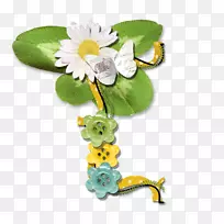 ����ֲ��-��ͷ��-������