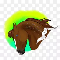 野马鼻子,笼头,牛群,动物-拜拜-空若网 野马鼻子,笼头,牛群,动物-拜拜-空若网