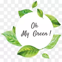 Ҷ������-��«��-������