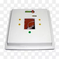 ������������-��-������