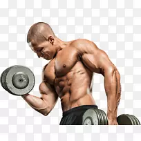 膳食补充剂肌酸必需氨基酸肌肉强健补充剂-身体健康-空若网 膳食补充剂肌酸必需氨基酸肌肉强健补充剂-身体健康-空若网