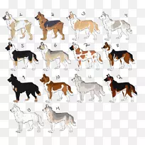 Ȯ��Ұ�����ﹷ����ֲ�-������