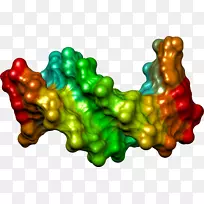 水果-空若网 水果-空若网