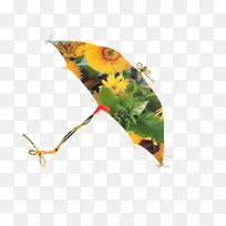 ����Ҷ-������