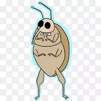 ������Ϊ��ͨ�������������-������