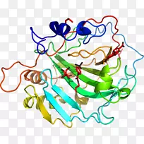 �ߵ������-��-������