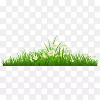 ��ʾռ�����-͸��������ʾ�PNG������-������