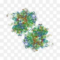 Ê÷-Ê÷-¿ÕÈôÍø Ê÷-Ê÷-¿ÕÈôÍø