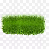 ��ƺ������-����ţ-������