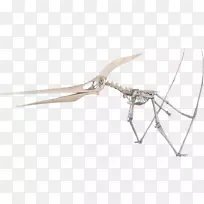 线路设计-空若网 线路设计-空若网