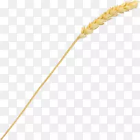 谷类食品系列-空若网 谷类食品系列-空若网