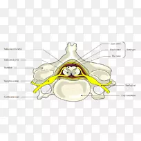 ��Ĥ�����衢������������ϵͳ-������-������