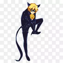 阿德里安格莱斯特黑猫尾猫黑猫-空若网 阿德里安格莱斯特黑猫尾猫黑猫-空若网